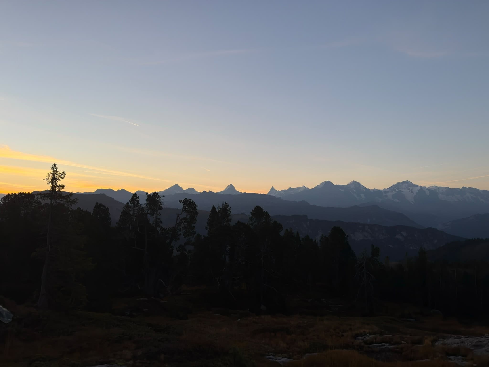 Silhouette der Alpenkette in der Abenddämmerung, davor dunkler Wald