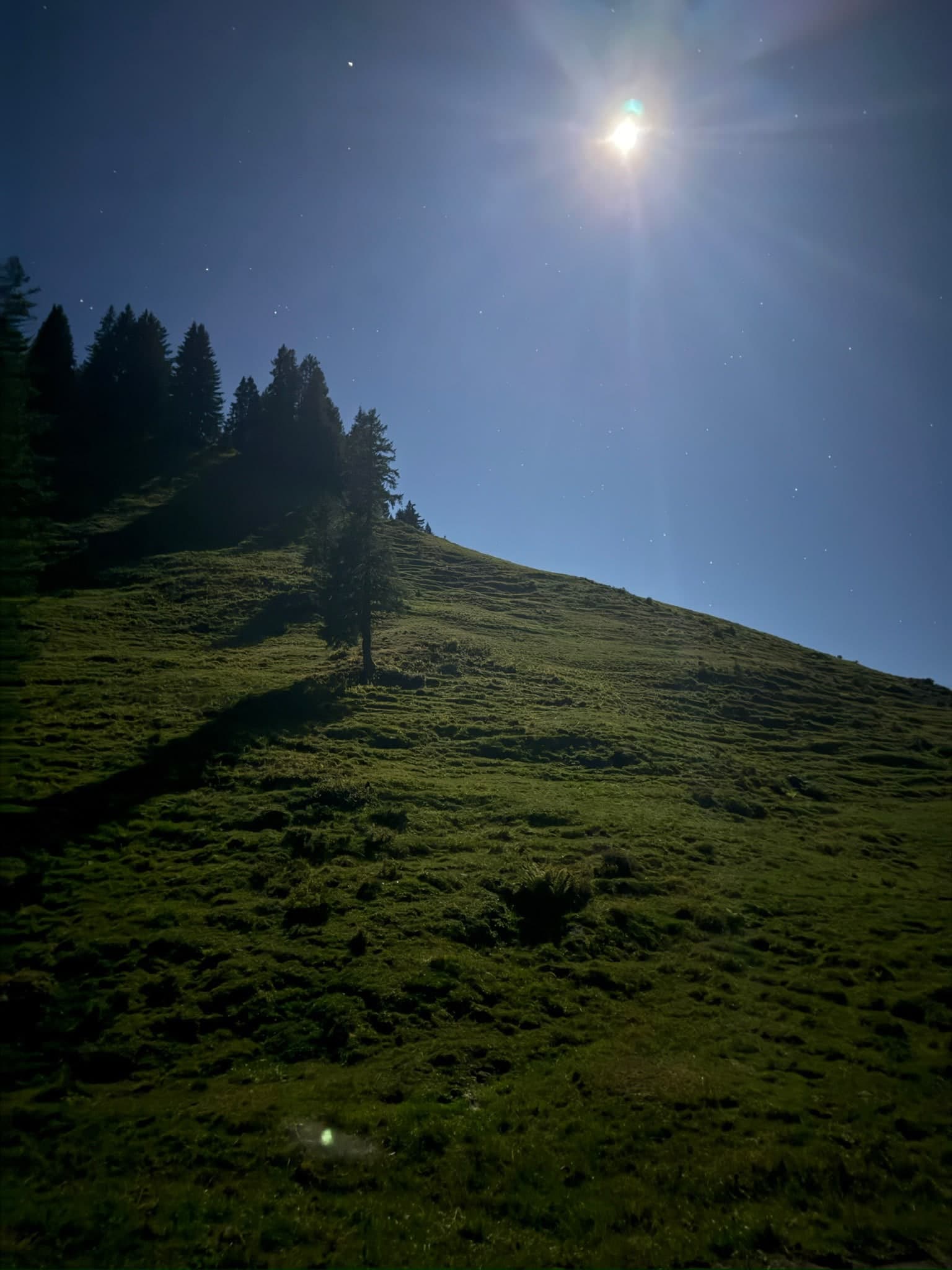 Heller Mond und Sterne über einer Alpweide mit Tannen